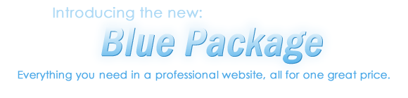 Affordable Professional Website Design Package