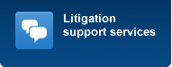 Litigation support services